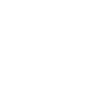 GNA Logo white